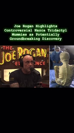 @theufochronicle | The so-called "Nazca mummies" (often called tridactyl due to their three-fingered hands) are controversial desiccated remains reportedly... | Instagram