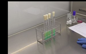 大肠菌群最可能数MPN的报告