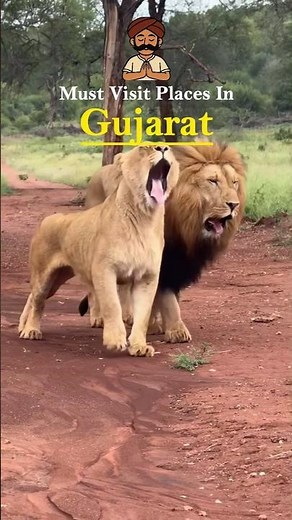 Must Visit Places in Gujarat ✨🐯🦚