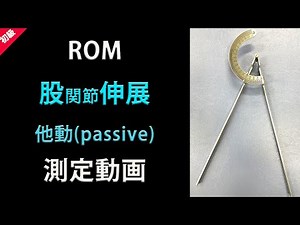 ROM 股関節伸展 他動(passive)