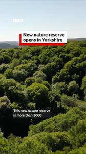 18K views · 166 reactions | There's a brand new nature reserve in Bradford  | BBC Leeds | Facebook