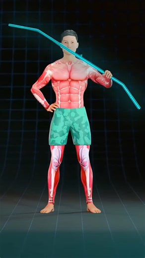 MaxMuscleX on Instagram: "💥 Wide bar rows hit the upper lats and traps for that wide, flared back look. V-bar rows shift the tension deep into the inner lats and mid-back. Choose the grip that builds the back you want and stay consistent. #backworkouts #lats #gymtips #Synermuscle #fitnesstips rows backday workoutguide"