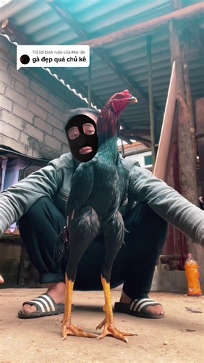 Trả lời @Mai lần #xuhuongtiktok2025❤️💕🇻🇳🌹 #thịnhhanhtiktok2025❤️☘️☘️☘️☘️ #gachoivietnamxuhuongthinhhanhtjktok🦋🦋🦋☘️☘️