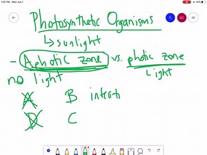 SOLVED:In which of the following regions would you expect to find photosynthetic organisms? a. the aphotic zone, the neritic zone, the oceanic zone, and the benthic realm b. the photic zone, the intertidal zone, the neritic zone, and the oceanic zone c. the photic zone, the abyssal zone, the neritic zone, and the oceanic zone d. the pelagic realm, the aphotic zone, the neritic zone, and the oceanic zone