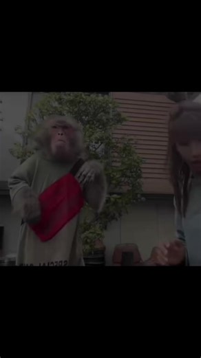 gigasethh (@android_andy_1)’s videos with sonido original - gigasethh