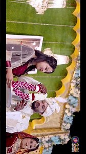 Shremali Wedding Varmala Sheeta & Gauravji #wedding#reels#viral#story#love#cupal#highlight #varmala