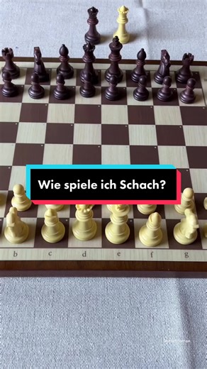 Richtig Schach spielen: Einfache Züge für Anfänger