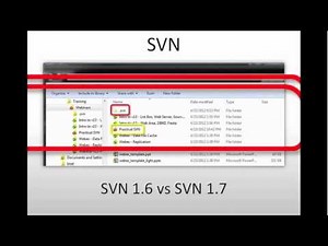 A practical guide to using SVN with 4D