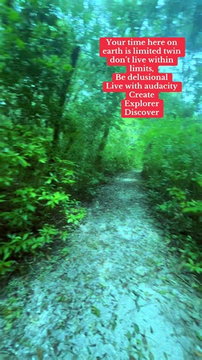 Your time here on earth is limited twin don’t live within limits, be delusional live with audacity create explorer discover!