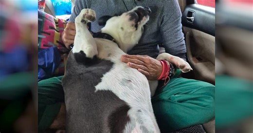 Leslie & his dog Moon need help