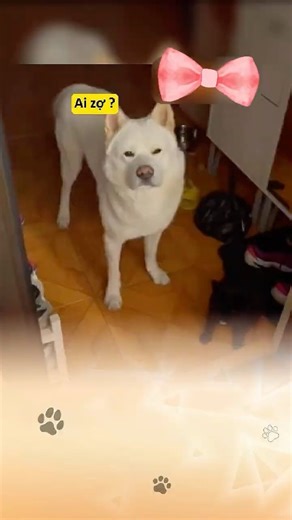 Nhà có em bé load chậm 😚