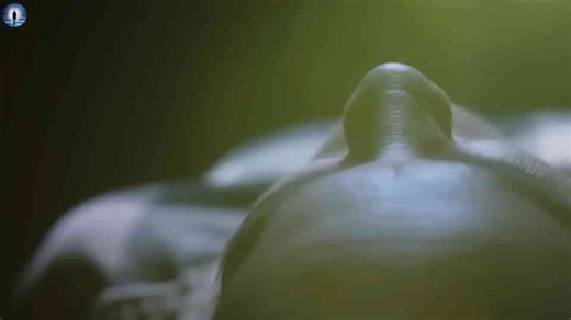 Declared dead, she was shown how thoughts are shaping reality