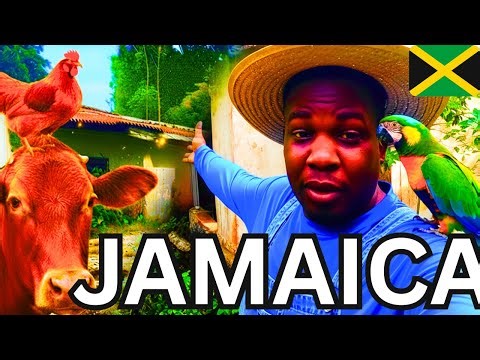 Come With Me to a Jamaican Village | Real Countryside Life POV