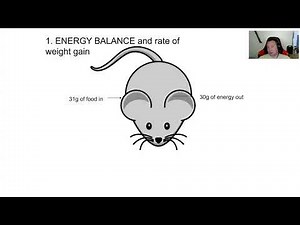 Lecture 7 - How to perform ANCOVA