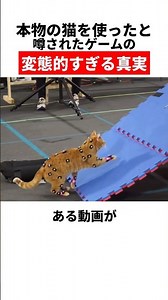 The Insane Truth Behind the Game Rumored to Use a Real Cat