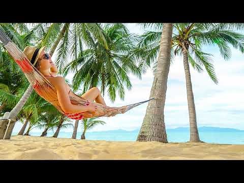 3 HOURS Chillout Beats for Stress-Free Relaxation | Lounge Music for a Tranquil Mind