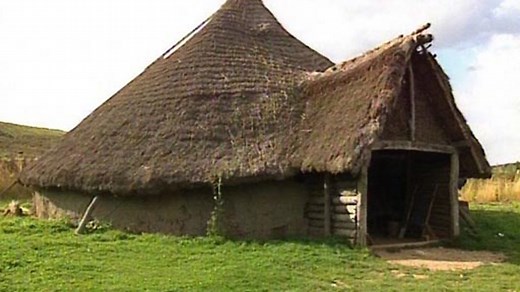 Building a Celtic house