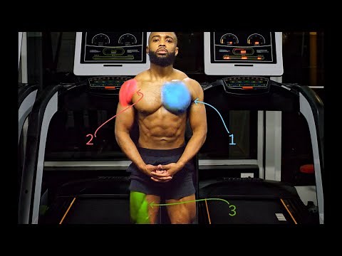 How to Create a Science-Based Full Body Workout | And Why You Should