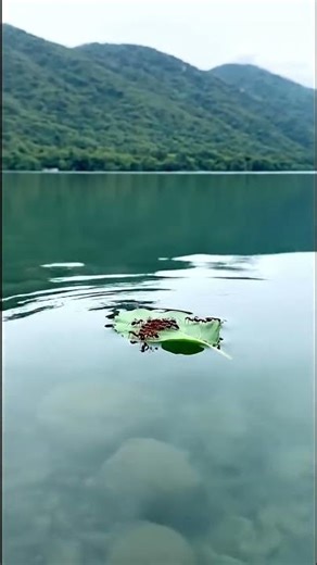 A Leaf in the Ocean 🌊🐜 | Unity & Survival | 4k