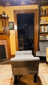 69K views · 1.8K reactions | Viral dog for sitting like human ❣️ ...