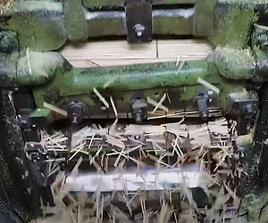 How Matchsticks are Made