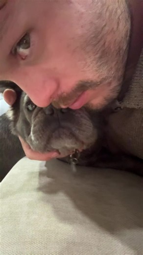 Video de Gracosendel (@graco.sendel) relacionado con “evan peters”