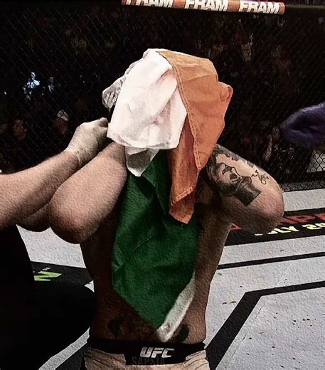 Conor McGregor Becomes Interim Featherweight Champion