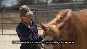 In equine-assisted services (EAS), the horse gives so much — patience, presence, partnership. What if we could give something back? The Masterson Method® Equine Specialist (MMES) Course teaches you how to facilitate an experiential activity using the Bladder Meridian Technique — a gentle, easy-to-learn method that program participants can offer to the horse as a gift of connection and care. Whether you’re a volunteer, instructor, therapist, or program director, you’ll learn how to guide program 