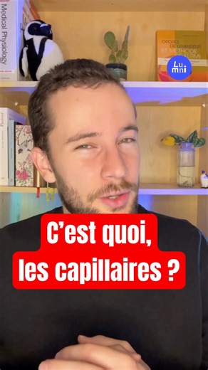 C’est quoi, les capillaires ? Avec @ordresdegrandeur | Lumni