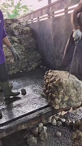 7.1K views · 16 reactions | **How natural rubber is harvested for latex 珞** #facts #informative #naturalprocess #rubber #plantfacts #howitsmade | Facts Tv | Facebook