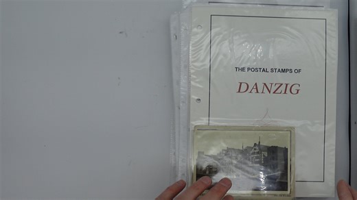 Lot 1364: LARGE LOTS AND COLLECTIONS DANZIG 1920-39 collection on pages, parallel used and unused, singles, sets, souvenir sheet