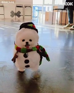 The fluffiest snowman I ever did see! 😍😂 | The Hook
