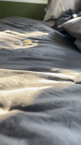 2.2M views · 133K reactions | Somebody’s getting used to their little legs . I’m setting a “small” batch of buttons for a friend this week. They’ll be due to hatch around Christmas Day  Hoping for an even larger stampede soon! - - - #babyanimals #cutenessoverload #cuteanimals | Fat Hen Farms | Facebook