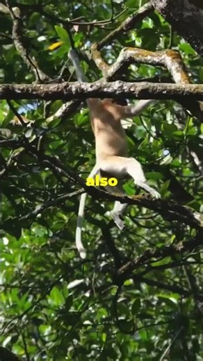 The SHOCKING Truth About Animals That Can FLY
