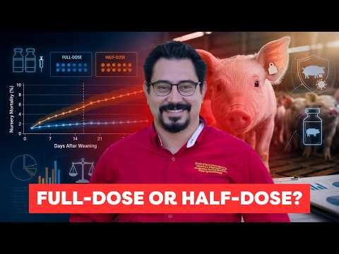 Causal Impact Of PRRS Dosing - Dr. Edison Magalhaes