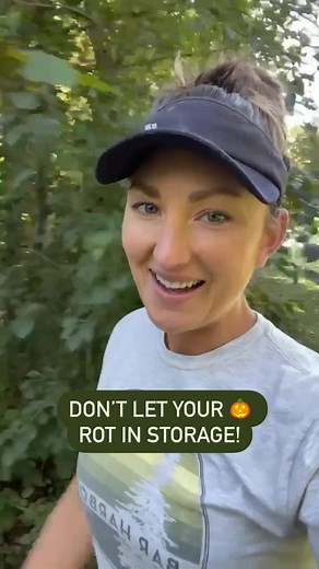 3 essential steps for storing winter squash ⬇️ 🎃 Step 1: Leave enough stem: 1” for most winter squash varieties and 2” for for pumpkins. **Remember that the stems are not handles! 🎃 Step 2: Brush off any loose dirt, then wash with 4 parts water to 1 part vinegar. **This is one of the few vegetables that we actually DO want to wash before they go into storage. 🎃 Step 3: Leave out in the sunshine with plenty of airflow for 7-10 days. **The sun helps harden the skins which is essential for stora