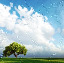 Eye Floaters & Flashes: Causes & Treatment | Milan Eye Center