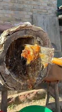 Homemade Honey Brewing