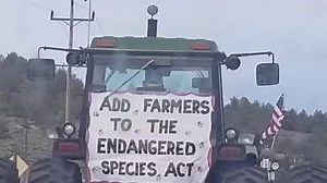 The slow killing of a farming community and their fight to survive! Shut Down & Fed Up | TDF Honest Farming