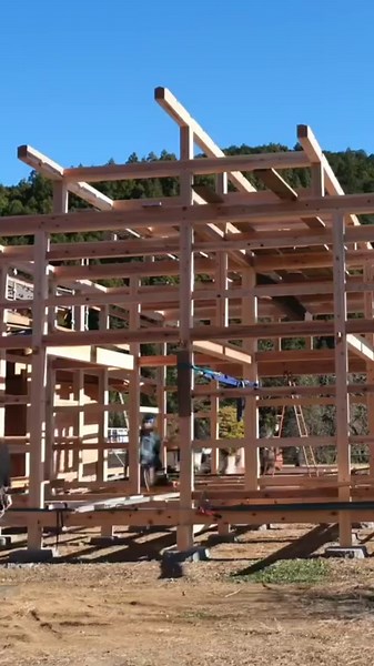 Traditional Japanese Timber Framing