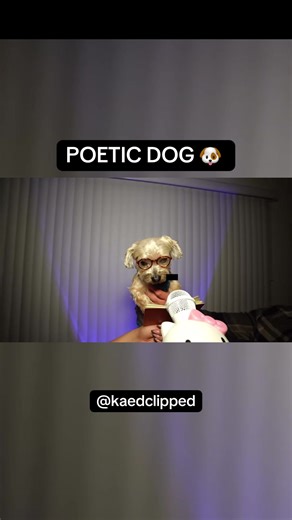 Rocket is so cute 😫❤️🐶 @Karen Mendoza @Eddie Zepeda #karenmendoza #eddiezepeda #kaed #fyp #dog