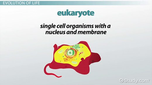 Proterozoic Eon | Era, Period & Evolution of Life