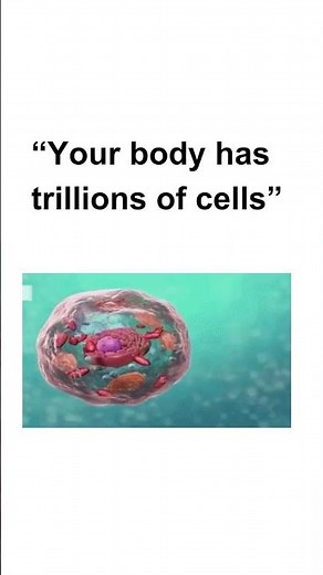 What is Biology? | Easy Introduction for Beginners