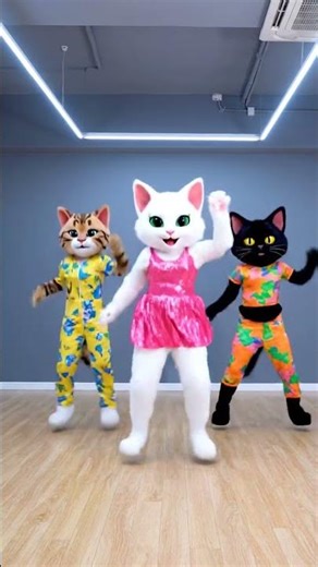 You’ve Never Seen Cats Groove Like This Before! #FelineMoves #DanceRemix