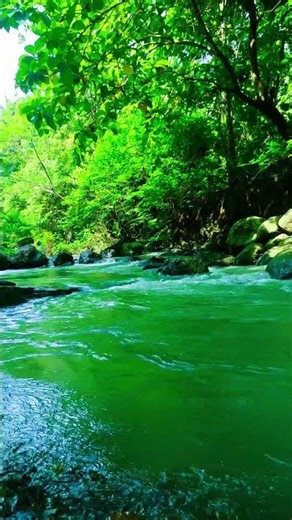 Gentle Flowing River and Calming Nature Sounds, White Noise for Deep Relaxation #nature #waterfall