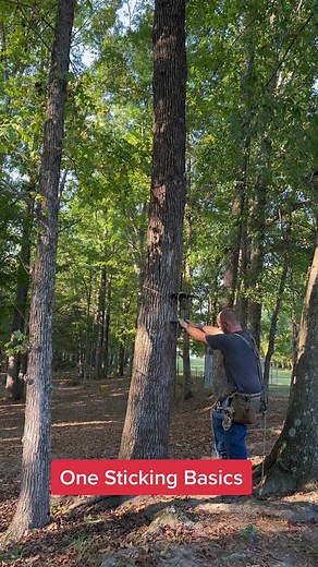 A quick video on my method of one stick climbing a tree. The gear I used in this clip was a tethrd phantom, EWO ultimate one stick. Resc Tech rope, and a madroxk safeguard to rappel. #saddlehunting #deerhunting #drpepper #hot #september24