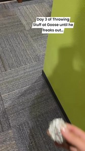 We are slowly building up anger. Stay tuned. | Dwyer & Michaels