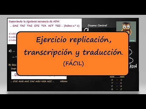 Exercise: Replication, Transcription, and Translation. Nucleotide Sequences and the Genetic Code.