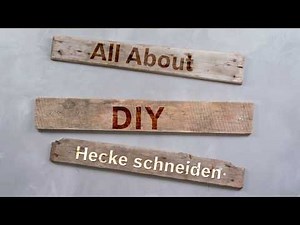 Hecke schneiden: überschüssiges Grün akkurat stutzen