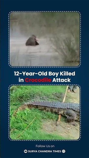 12-Year-Old Boy Killed in Crocodile Attack |#boy |#crocodile |#village |#viral |‪@suryachandratimes‬